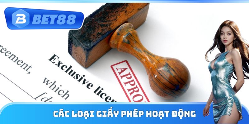 Các loại giấy phép hoạt động