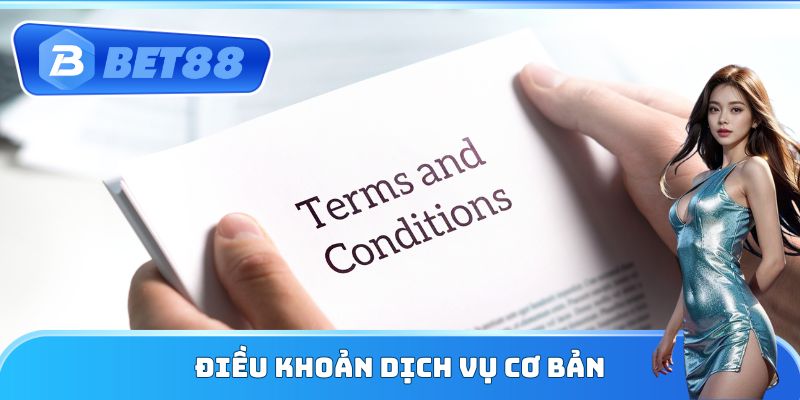 Điều khoản dịch vụ cơ bản