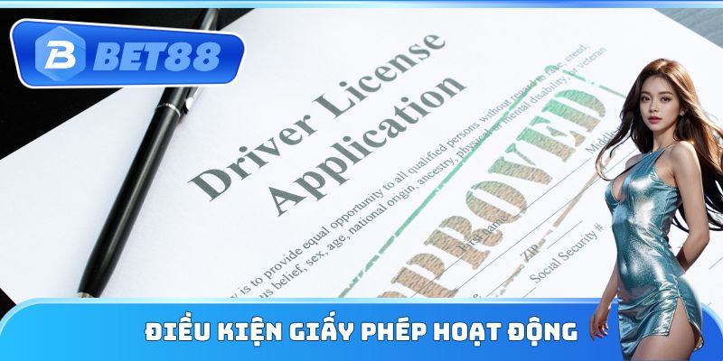 Điều kiện giấy phép hoạt động