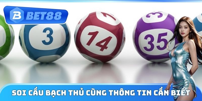 Soi cầu bạch thủ cùng thông tin cần biết